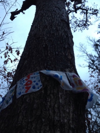 Flags on the oak.